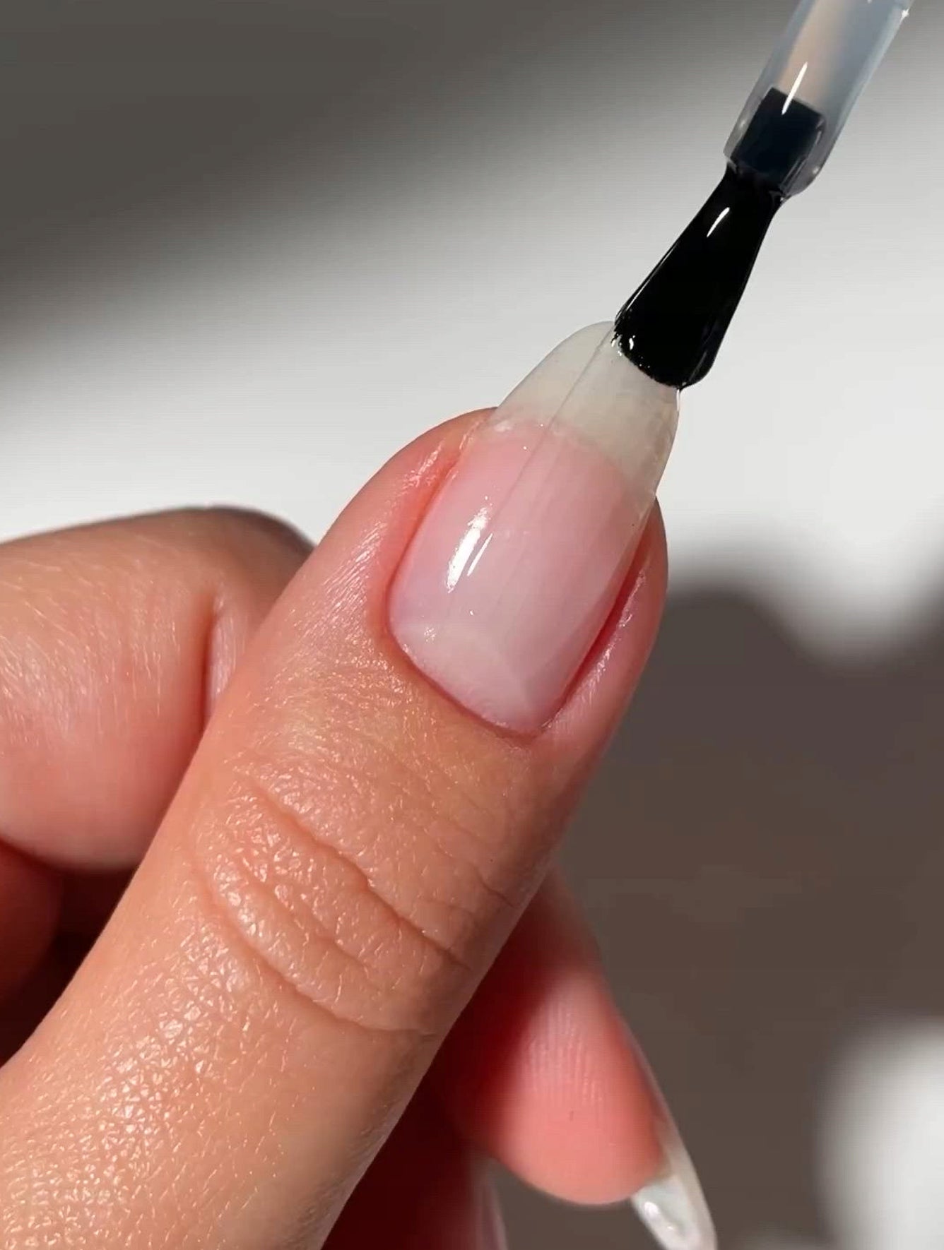 6b7df641718406732989e444432994bf