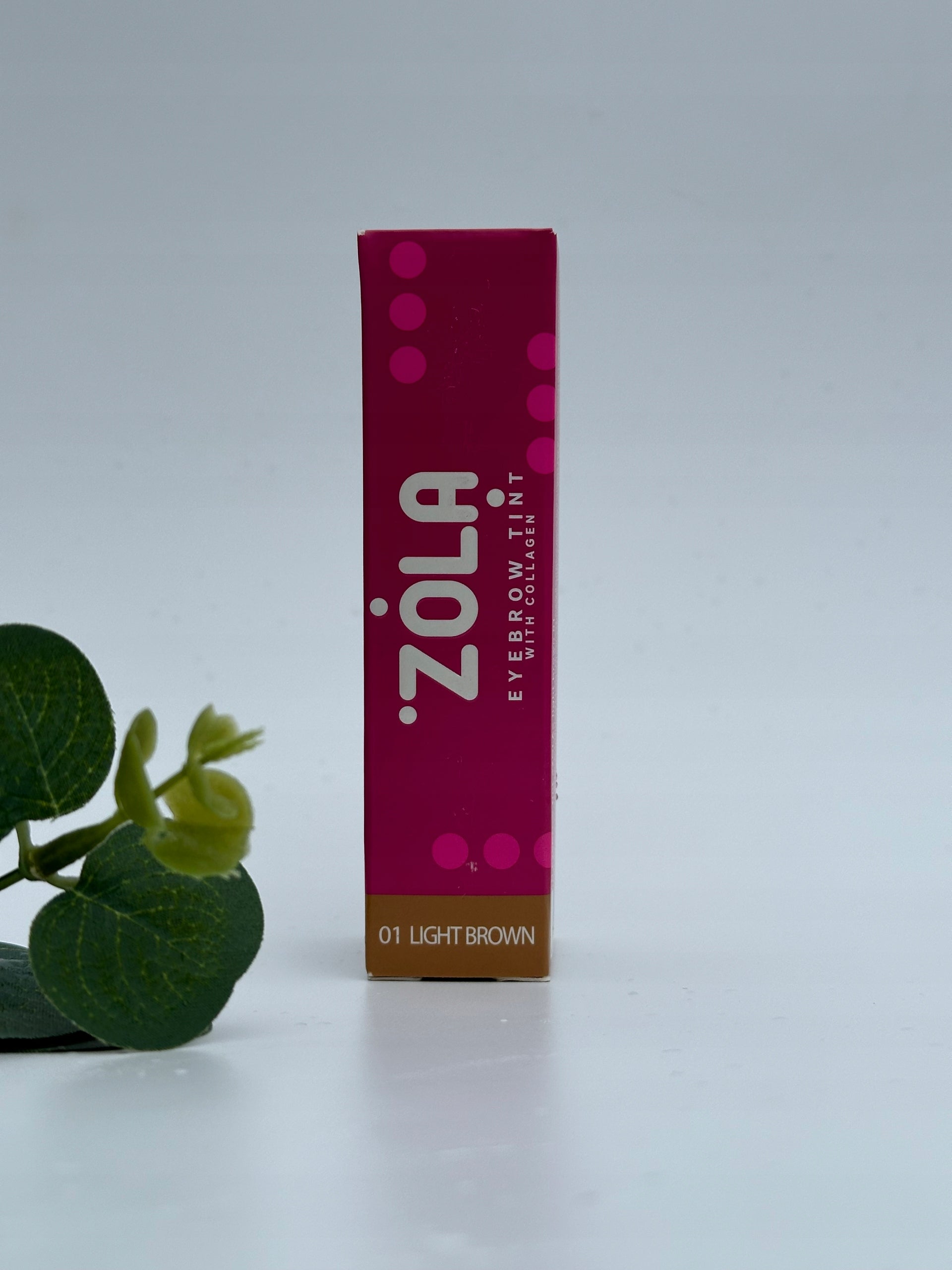 7eb6c32c405e8bab9e5a5f68e1081756