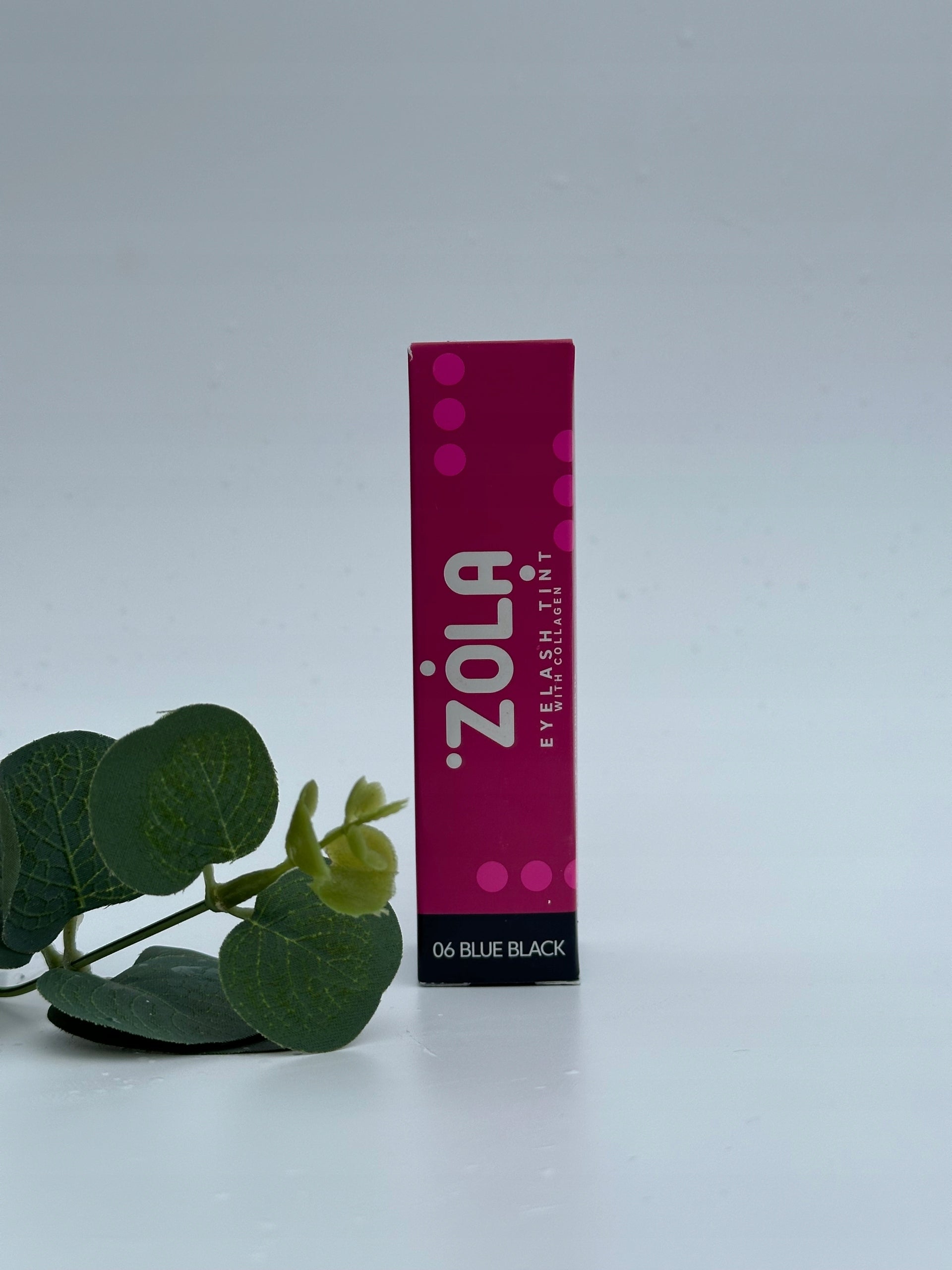 6de481a27c43267c42de34c072d8d15f