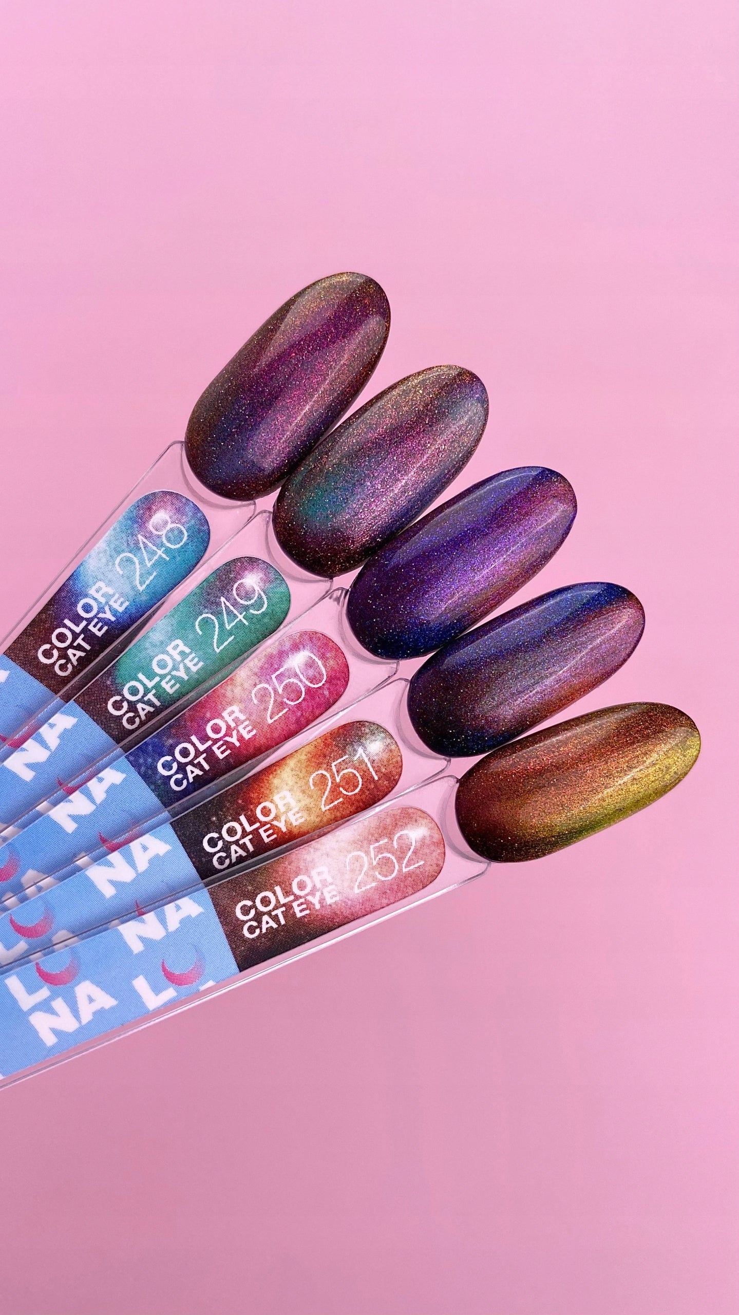 f13f7b4a8425b13ae64ab24d9f8d7e5f