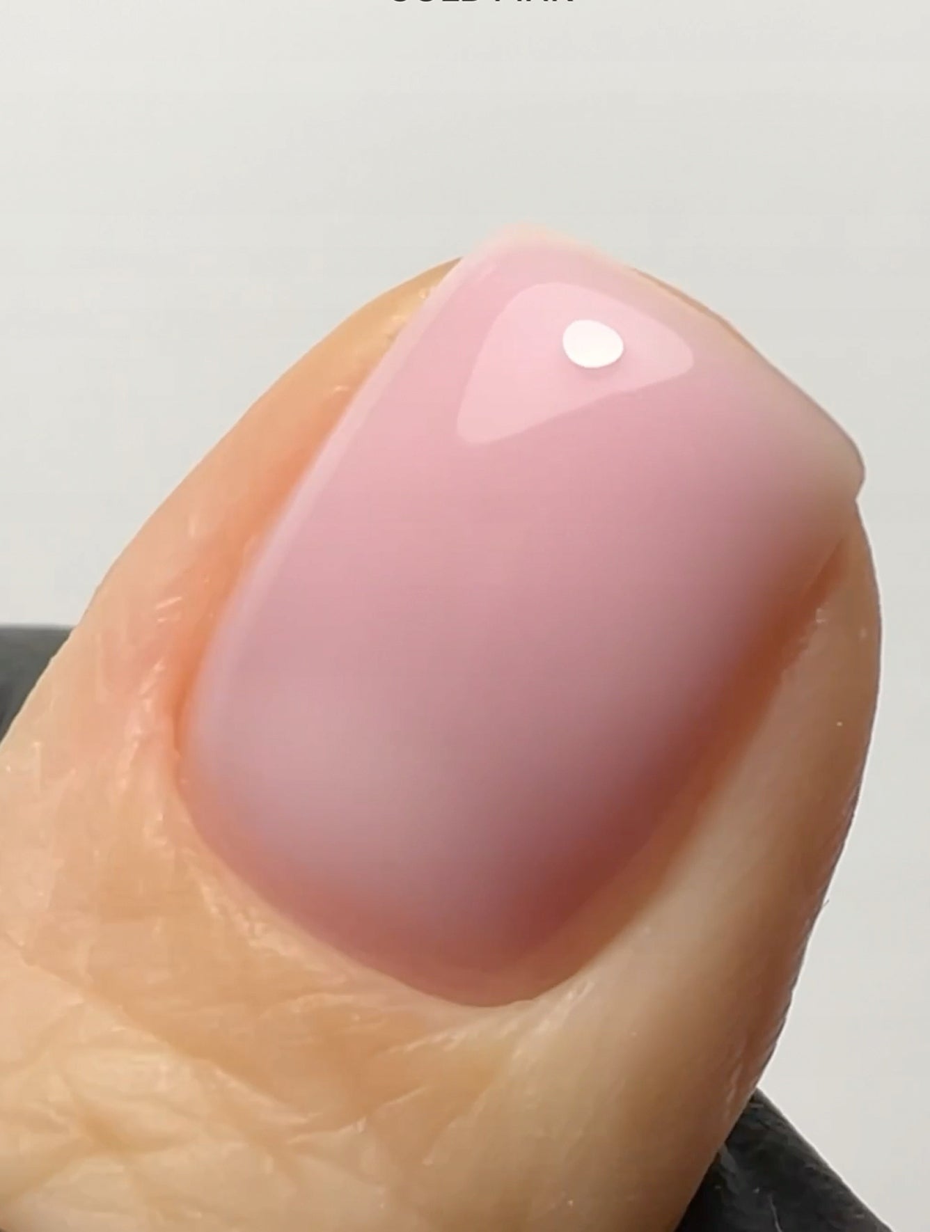 03f3b29038d2efba75f8d65b178b3b1d